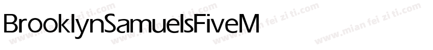 BrooklynSamuelsFive Medium字体转换